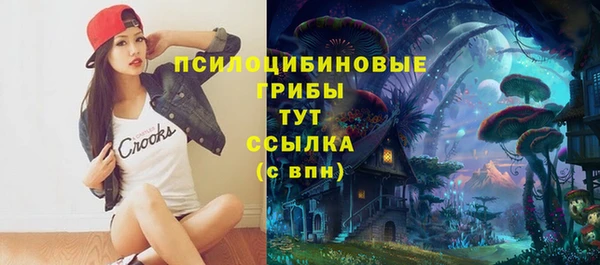 мяу мяу мука Алексеевка