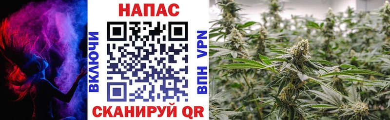 закладки  OMG ССЫЛКА  Марихуана White Widow  Елабуга 
